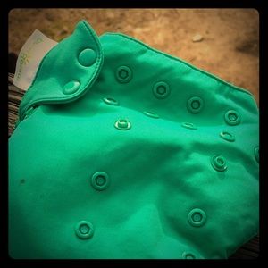 BumGenius All In One 5.0 Cloth Diaper